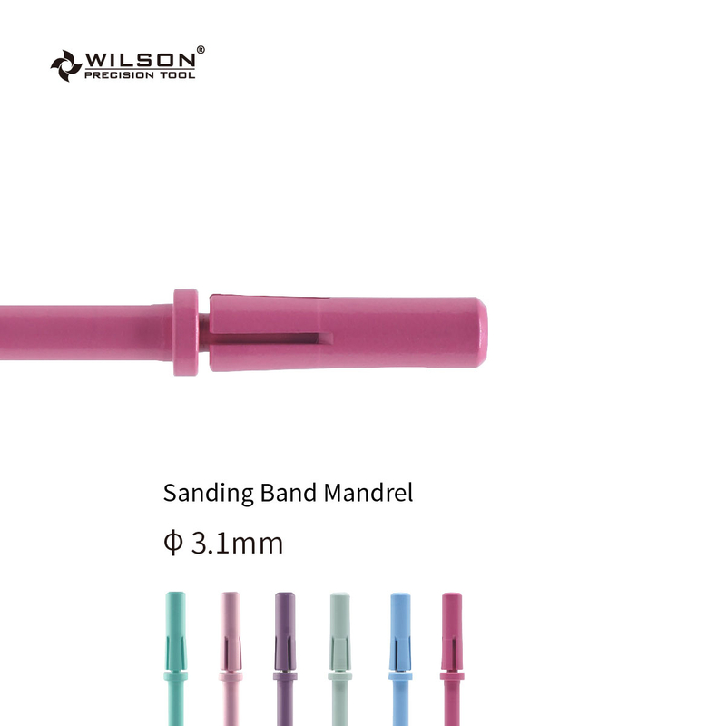 3.1mm Sanding Band Mandrel Mini and Portable Stainless Steel Bits Well Sun Inventive Nail Polish Tool Nail Bit